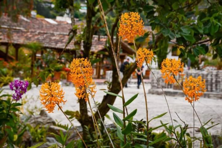 Uzhupud Garden Hotel & Lodge Paute Bagian luar foto